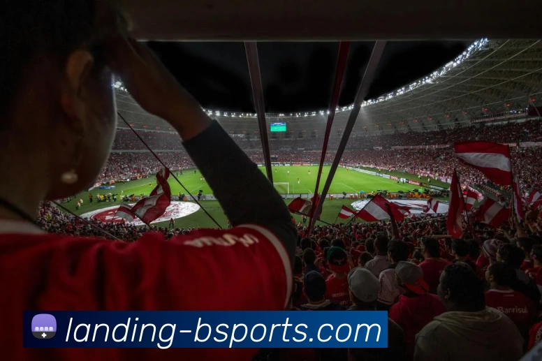 B体育APP 封面图